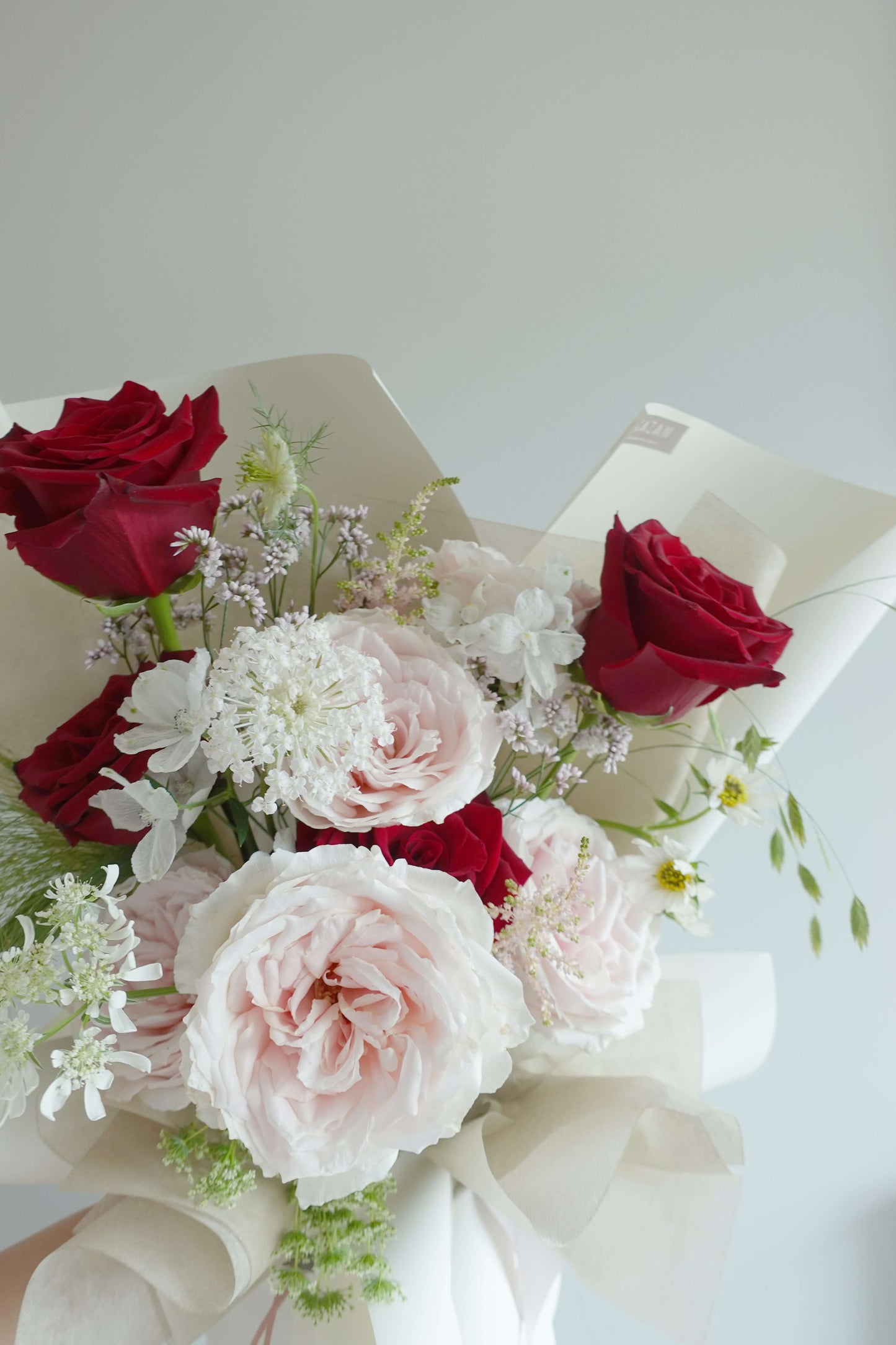 ROMANCE ROSE